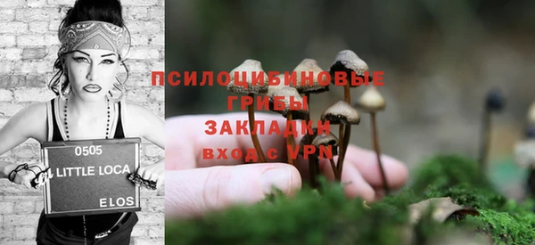 шишки Армянск