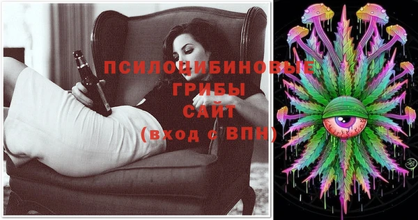 шишки Армянск
