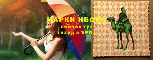 прущий лед Арсеньев