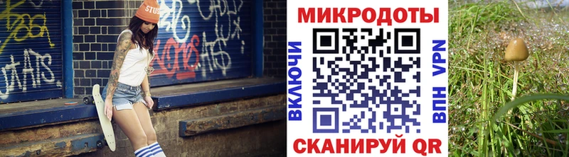 Псилоцибиновые грибы Magic Shrooms  ОМГ ОМГ рабочий сайт  Белинский  дарнет шоп 
